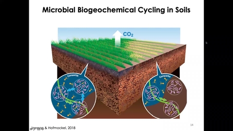 Thumbnail for MICR3154_11-23_SoilBiogeochem_Twing