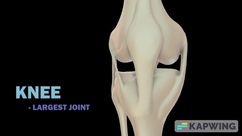 Thumbnail for Knee Ligament short - Quiz