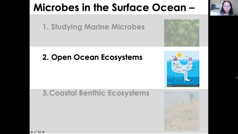 Thumbnail for entry MICR3154_11-16_SurfaceOceanMicrobes_Twing