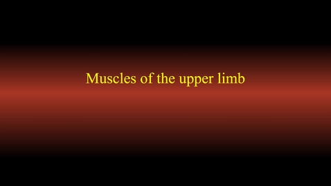 Thumbnail for entry Muscle actions (upper limb)