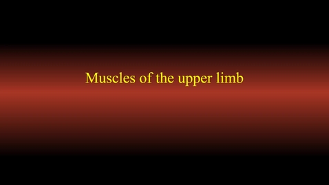 Thumbnail for Muscle actions (upper limb)