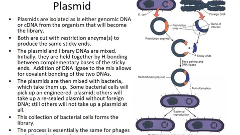 Thumbnail for BTNY 3303 - Recombinant DNA -Part 2 - April 11, 2022