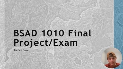 Thumbnail for entry BSAD 1010 Final Project