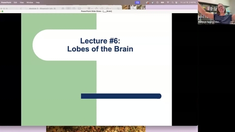 Thumbnail for Intro - Module 3 lecture  -- Lobes of the brain