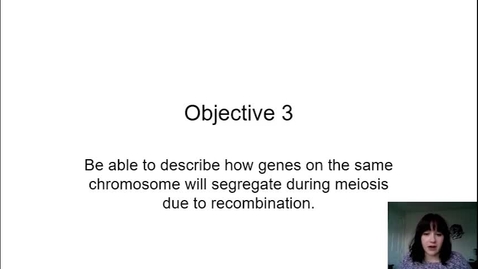 Thumbnail for Objective 3.mp4