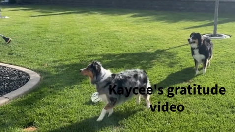 Thumbnail for Gratitude video