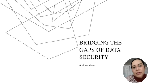 Thumbnail for entry Bridging the gaps of Data security