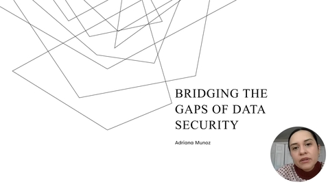 Thumbnail for Bridging the gaps of Data security
