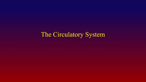 Thumbnail for Circulatory System (vid lecture)
