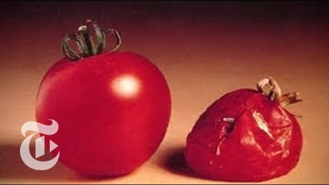 Thumbnail for Test Tube Tomato | Retro Report | The New York Times