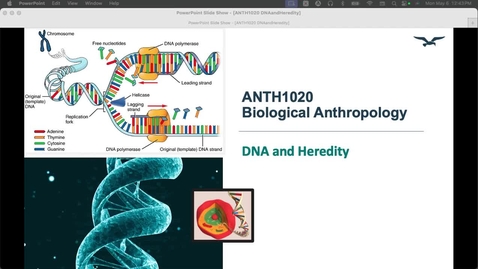 Thumbnail for entry ANTH1020 DNA and Heredity Lecture