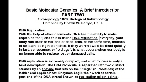 Thumbnail for entry ANTH 1020 Basic Molecular Biology, Part 2 (ONE)