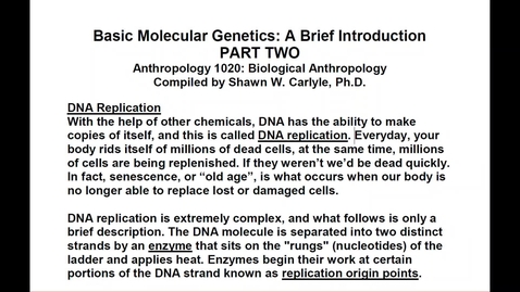 Thumbnail for ANTH 1020 Basic Molecular Biology, Part 2 (ONE)