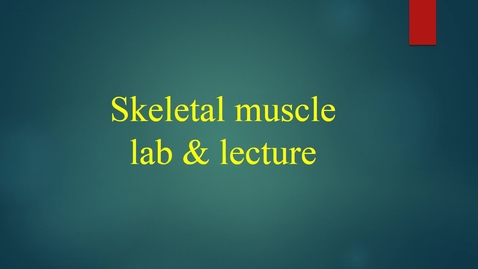 Thumbnail for entry Skeletal muscle lab _ lecture (movie)