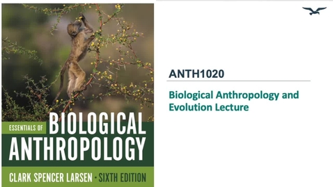 Thumbnail for *BioAnth &amp; Evolution*