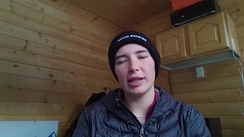 Thumbnail for Video Recording - Sun Jan 05 2025 13:46:21 GMT-0700 (Mountain Standard Time)