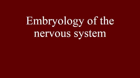Thumbnail for entry Embryology of the nervous system movie