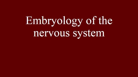 Thumbnail for Embryology of the nervous system movie