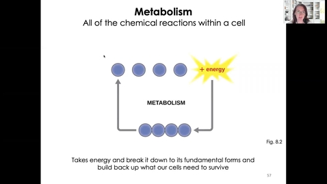 Thumbnail for MICR1113_Wk7_Metabolism_1_Twing