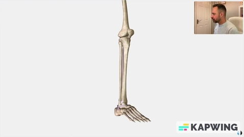 Thumbnail for entry Proximal Ankle Ligaments - Quiz