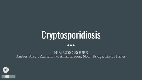 Thumbnail for Cryptosporidiosis Presentation