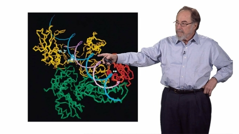 Thumbnail for entry HTHS 1110 F06-02: Virus Classification Video with Questions