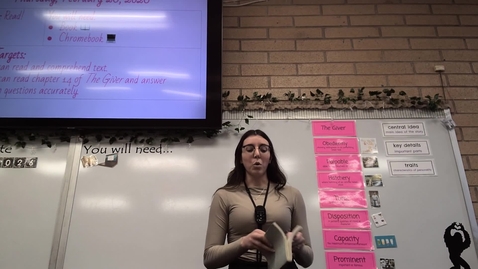 Thumbnail for Video Observation 1