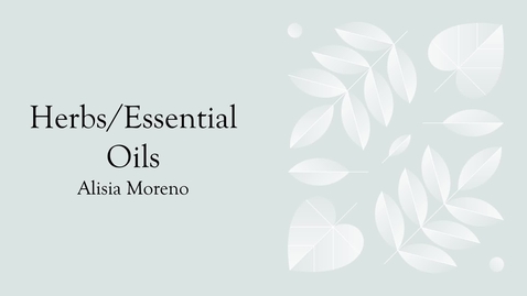 Thumbnail for Holism Presentation