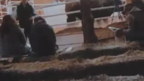 Thumbnail for Support your Local Farmers