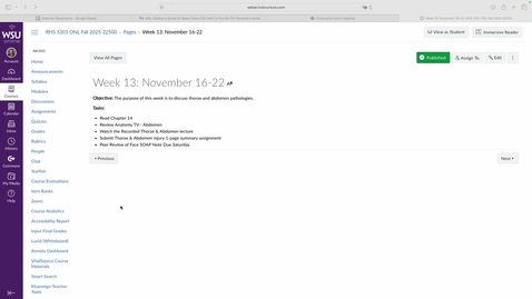 Thumbnail for 3301 Fall 2025 - Week 13 Announcement