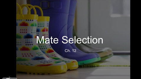 Thumbnail for Ch. 12 - Mate Selection (18:07)