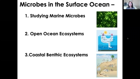 Thumbnail for MICR3154_11-16_MarineMethods_Twing