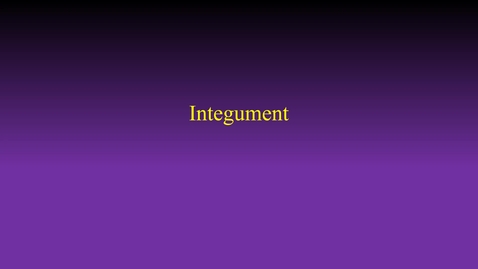Thumbnail for entry Integument (hybrid vid)