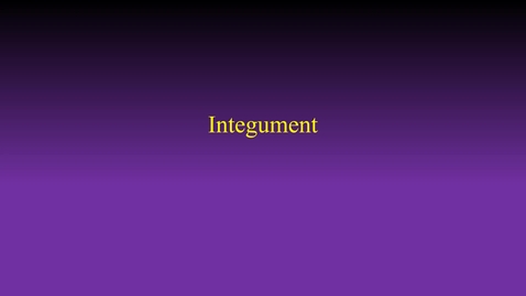 Thumbnail for Integument (hybrid vid)