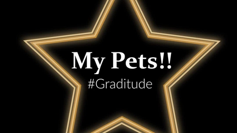 Thumbnail for Graditude For Pets!