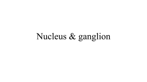 Thumbnail for entry Nucleus vs ganglion movie
