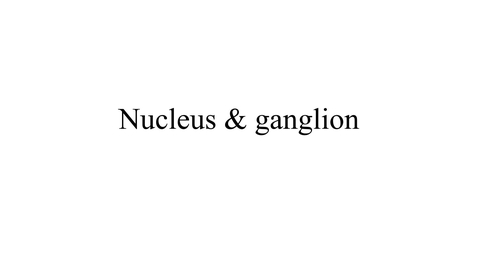 Thumbnail for Nucleus vs ganglion movie