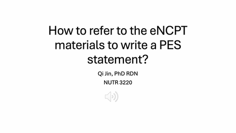 Thumbnail for eNCPT demonstration