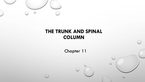 Thumbnail for Chapter11 Trunk