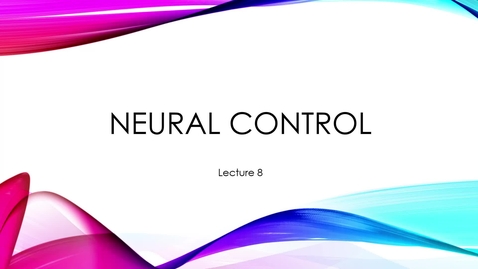 Thumbnail for entry Lecture 8  - Neurons!