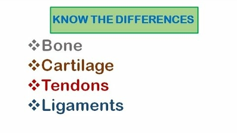 Thumbnail for entry HTHS 1110 F07-08: Bone, Cartilage, Tendons, and Ligaments Video with Questions