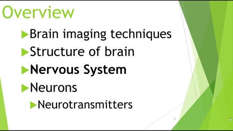Thumbnail for Brain &amp; Nervous System Part 2 - Quiz