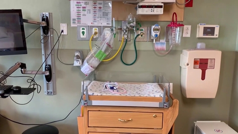 Thumbnail for LaborDelivery