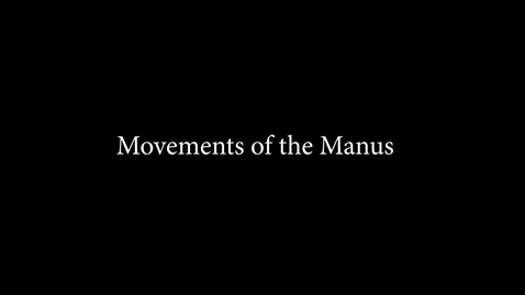Thumbnail for Movements of the Manus
