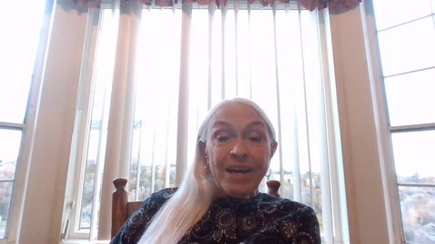 Thumbnail for WIN_20231118_15_36_14_Pro