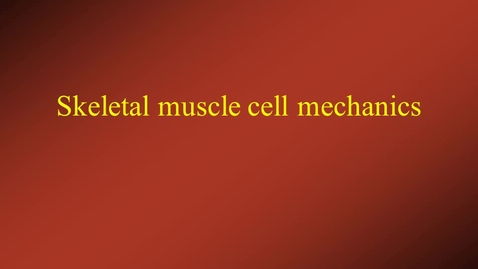 Thumbnail for entry Skeletal Muscle Cell Contraction
