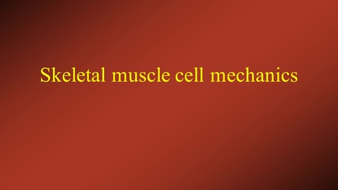 Thumbnail for Skeletal Muscle Cell Contraction