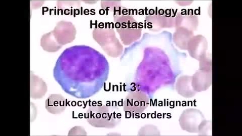 Thumbnail for Unit_3__Lecture_1