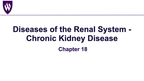 Thumbnail for Chapter 18_ Renal