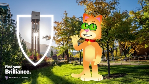 Thumbnail for COMM 3440 Week 8 Overview